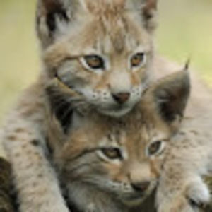 Meet your Posher, Kathleen